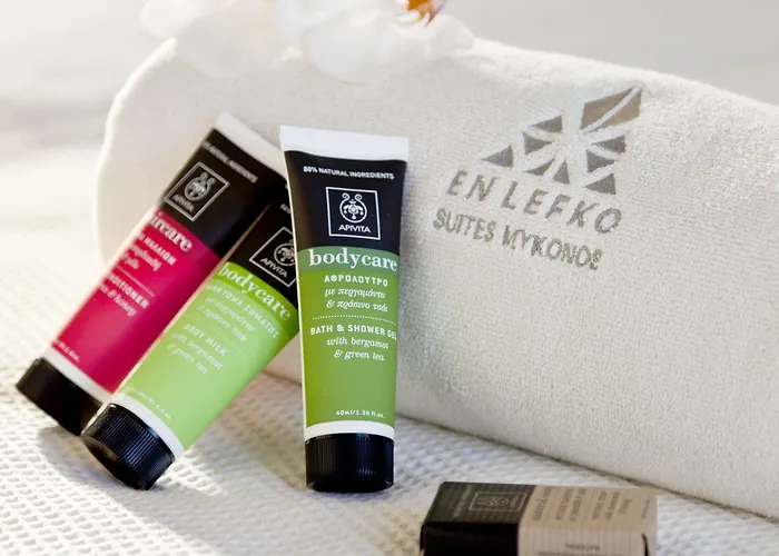 호텔 Ananea Mykonos - Adults Only 5*