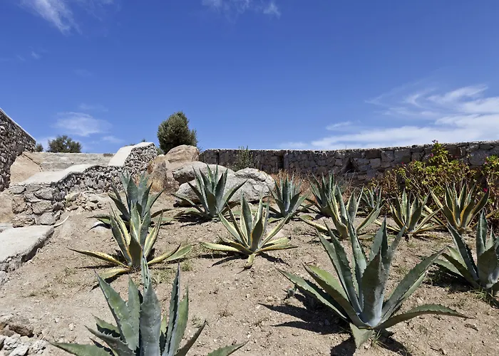 Ananea Mykonos - Adults Only 오르노스