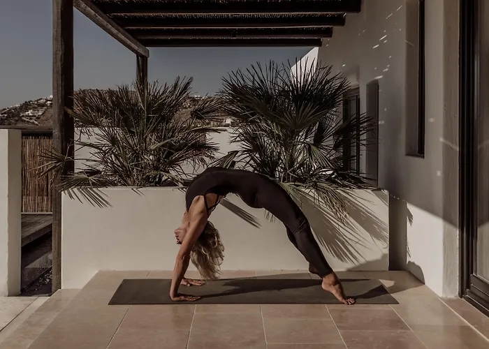 호텔 Ananea Mykonos - Adults Only 오르노스