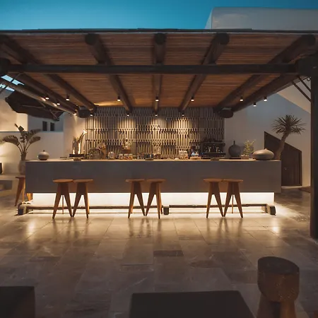 Ananea Mykonos - Adults Only אורנוס