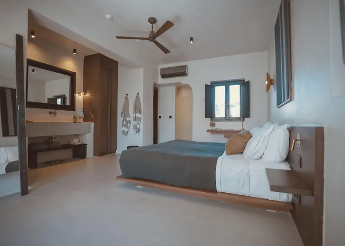 酒店 Ananea Mykonos - Adults Only 奥诺斯