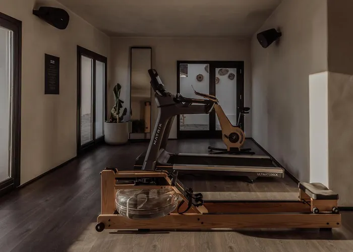 酒店 Ananea Mykonos - Adults Only 5*