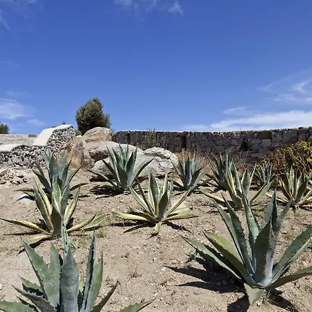 Ananea Mykonos - Adults Only Ornos (Mykonos)